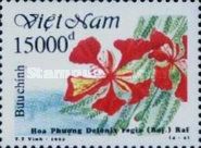 Flamboyant (Delonix regia)