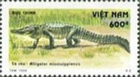 American Alligator (Alligator mississippiensis)