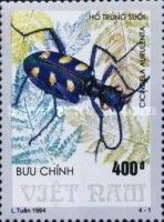 Golden-spotted Tiger Beetle (Cicindela aurulenta)