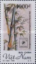Tetragonocalamus quadrangularis