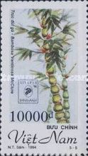Bambusa venticosa