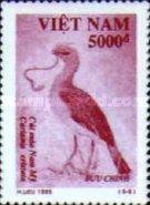 Crested Cariama (Cariama cristata)