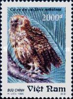 Pel's Fishing-owl (Scotopelia peli)