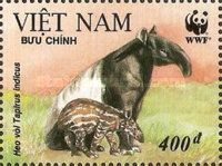 Asian Tapir (Tapirus indicus)