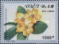 Rhododendron sulphoreum