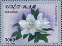 Rhododendron Lyi