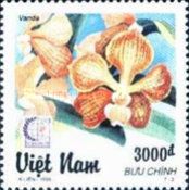 Vanda parishi (Vanda)
