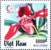 Paphiopedilum hirsutissimum - Red-hirstute boat-like shoe