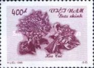 Chrysanthemum (Chrysanthemum sp.)