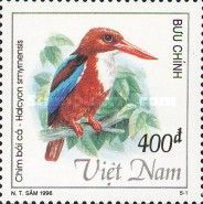 White-throated Kingfisher (Halcyon smyrnensis)
