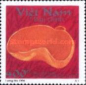 Orange Peel (Aleuria aurantia (fr.)
