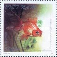 Jade Scab Goldfish (Carassius auratus)