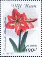 Red Madonna Lily (Lilium longiflorum)