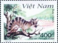 Owston's Palm Civet (Chrotogale owstoni)