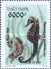Japanese Seahorse (Hippocampus japonicus)