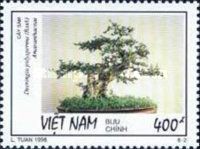 Deeringia polysperma
