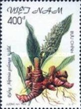 Alpinia galanga