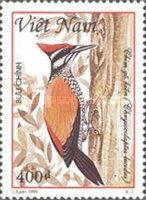 Greater Flameback (Chrysocolaptes lucidus) 