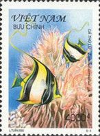 Moorish Idol (Zanclus cornutus)