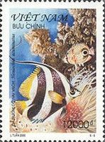 Pennant Coralfish (Heniochus acuminatus)