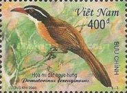Coral-billed Scimitar-babbler (Pomatorhinus ferruginosus)