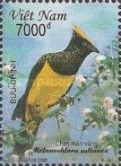 Sultan Tit (Melanochlora sultanea)