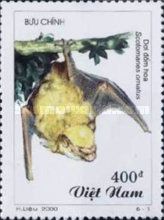 Harlequin Bat (Scotomanes ornatus)