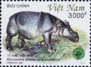 Vietnamese Javan Rhinoceros (Rhinoceros sondaicus annamiticu