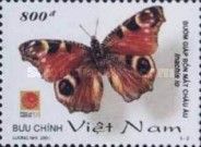 European peacock (Inachis io)