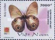 Butterfly (Taenaris selene)