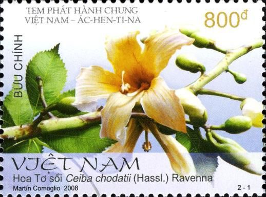 Floss Silk (Ceiba chodatii)