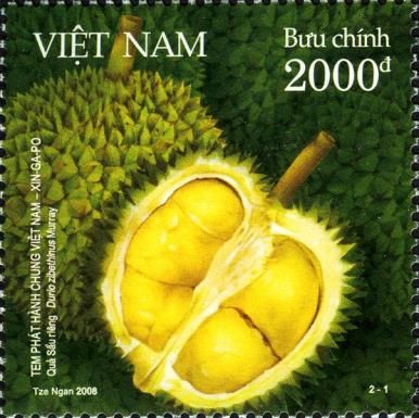 Durian (Durio zibethinus)