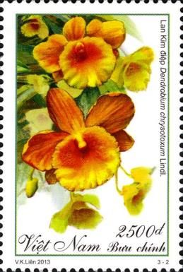 Dendrobium chrysotoxum
