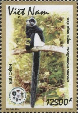 Delacour's Langur (Trachypithecus delacouri)