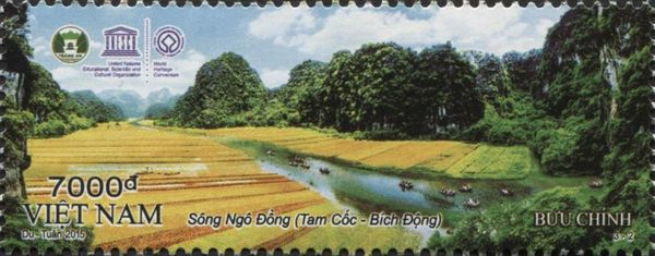 Ngô Đồng River (Tam Cúc - Bích Động)