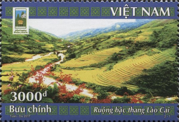 Lào Cai Terrace Fields