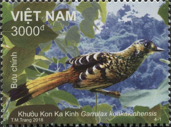 Chestnut-eared Laughingthrush (Garrulax konkakinhensis)
