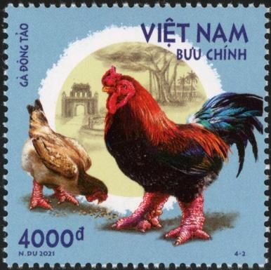 Đông Tảo Rooster and Chicken