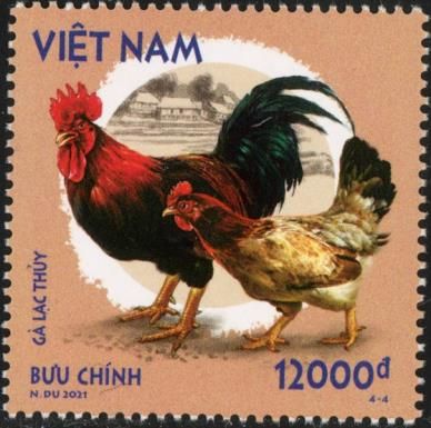 Lạc Thuỷ Rooster and Chicken