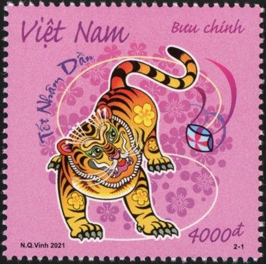 Tiger (Panthera tigris)