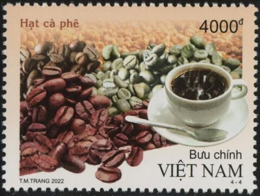 Roasted Coffee Beans and Cup of Coffee