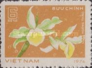 Dendrobium