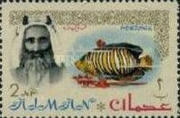 Sheik Rashid and Royal Angelfish (Pygoplites diacanthus)