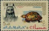 Sheik Rashid and Spur-thighed Tortoise (Testudo graeca)