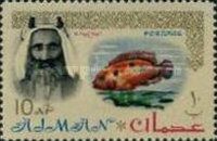 Sheik Rashid and African Jewelfish (Hemichromis bimaculatus)