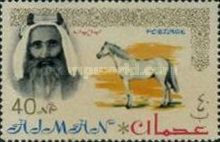 Sheik Rashid and Arabian Horse (Equus ferus caballus)