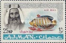 Sheik Rashid and Royal Angelfish (Pygoplites diacanthus)