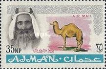Sheik Rashid and Dromedary (Camelus dromedarius)