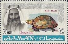 Sheik Rashid and Spur-thighed Tortoise (Testudo graeca)