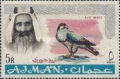 Shaikh Rashid and Lanner Falcon (Falco biarmicus)